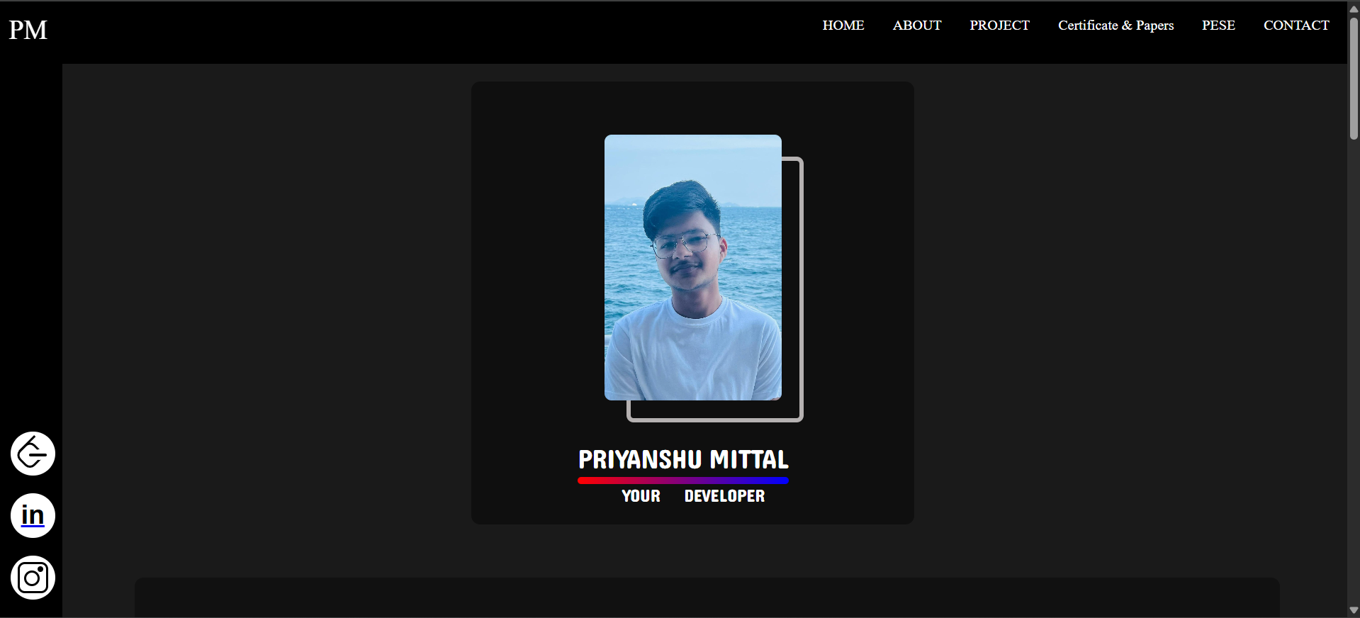 Portfolio Project Preview